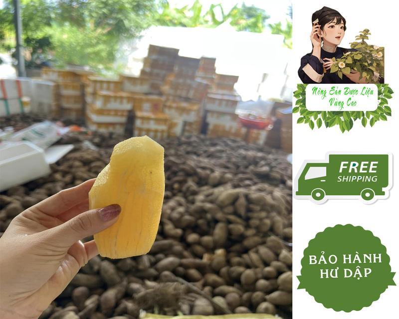 Khoai Sâm Đất Giòn Ngọt Đóng Thùng Combo 5kg