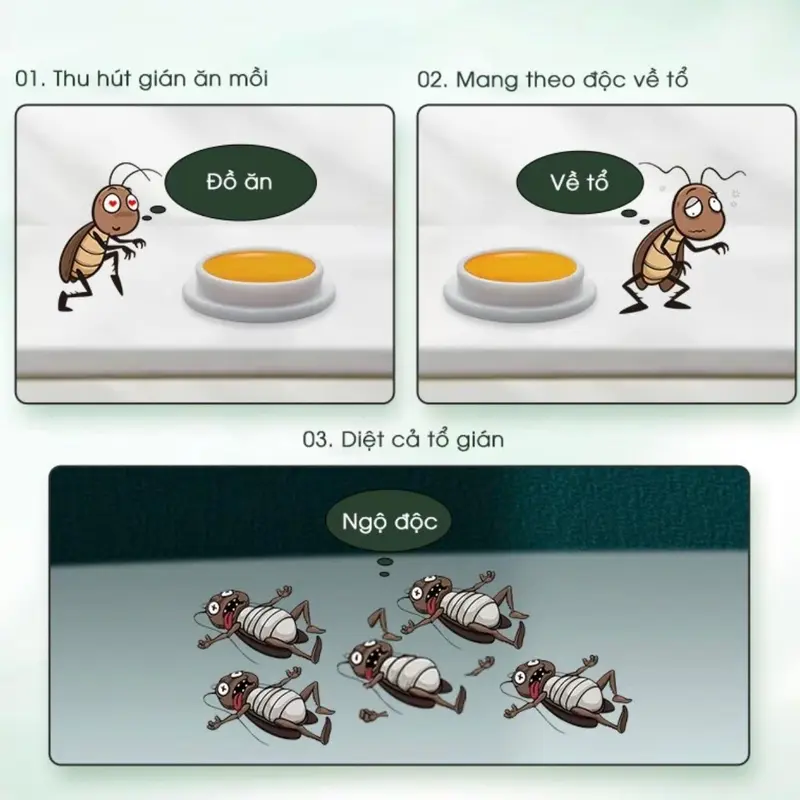 Viên gián sinh học AMB của viện hàn lâm khoa học việt nam,diệt tận gốc tất cả các loại gián an toàn và hiệu quả 5