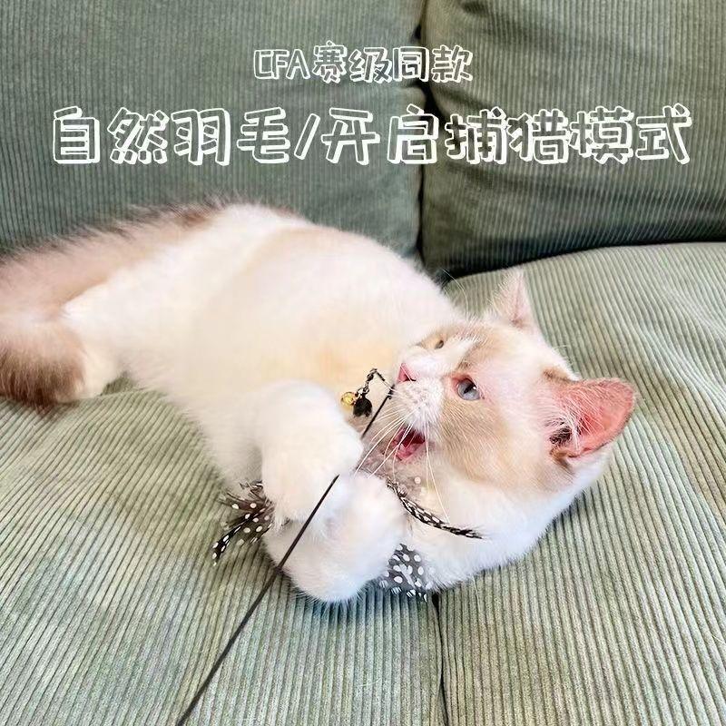 Bộ Trêu ghẹo mèo lò xo tay cầm bằng gỗ, Cấp CFA, 30 ngày bán chạy, Thích hợp cho mèo con, Tự-Hi, làm giảm Bó Sát Đầu thay thế chuông, Đồ chơi chống cắn, 30 miếng, Hàng mới về năm 2025 5