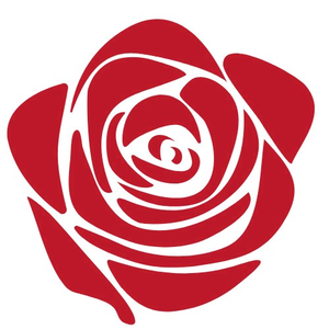 Dâu Tây Sấy Thăng Hoa Đặc Sản