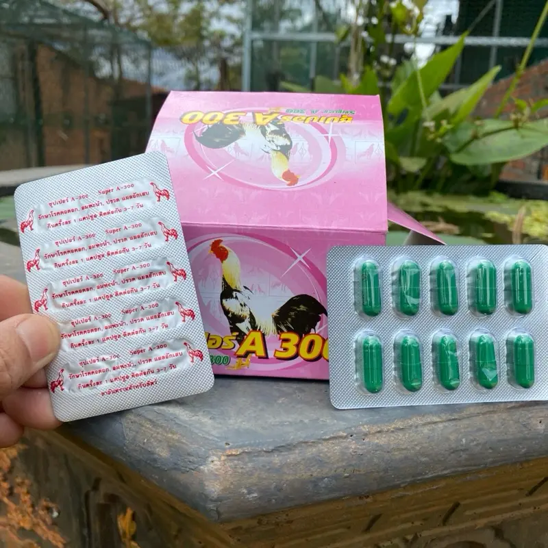 A 300 tiêu sưng, tiêu kén cho gà chọi 1