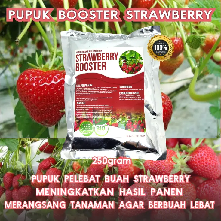 Pupuk Booster Strawbery - Pupuk organik pelebat buah, menyuburkan tanaman, dan memperkuat tanaman Strawberry Alami Tumbuhan