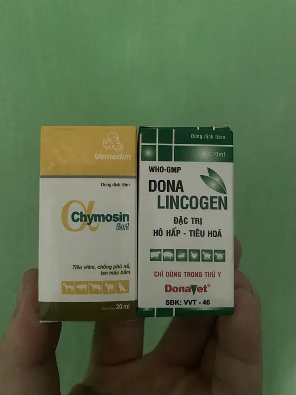 Combo KS03 (ACHYMOSIN + LINCOSPEC) dùng cho gà viêm khớp, sưng củ bàn, né chậu 2