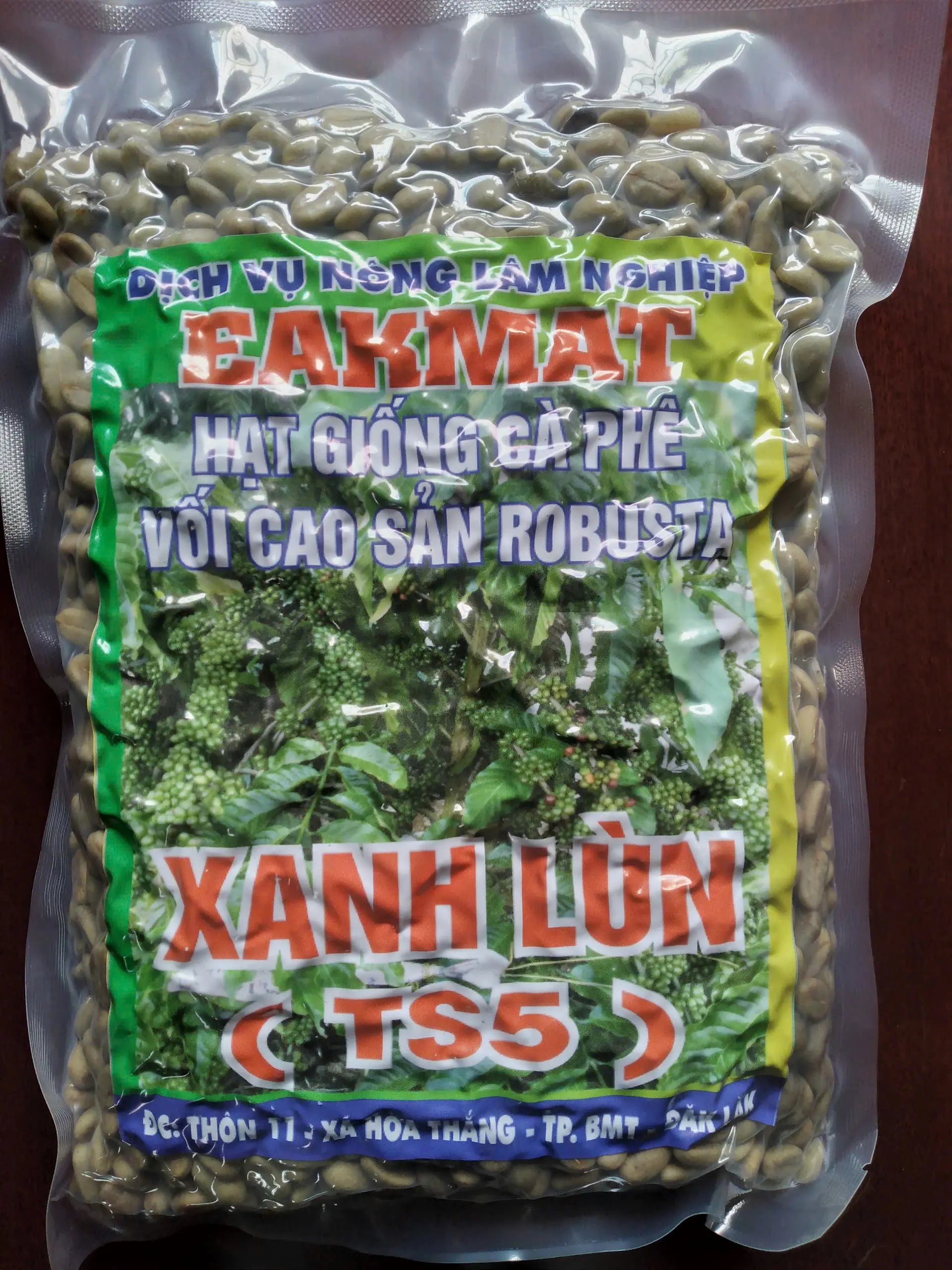 100 gram HẠT GIỐNG CÀ PHÊ VỐI CAO SẢN ROBUSTA XANH LÙN[ Trường Sơn TS5 ]. HẠT ĐẸP TUYỂN CHỌN BAO NẢY MẦM ĐÓNG GÓI KỸ HÚT CHÂN KHÔNG NHƯ HÌNH  Ạ