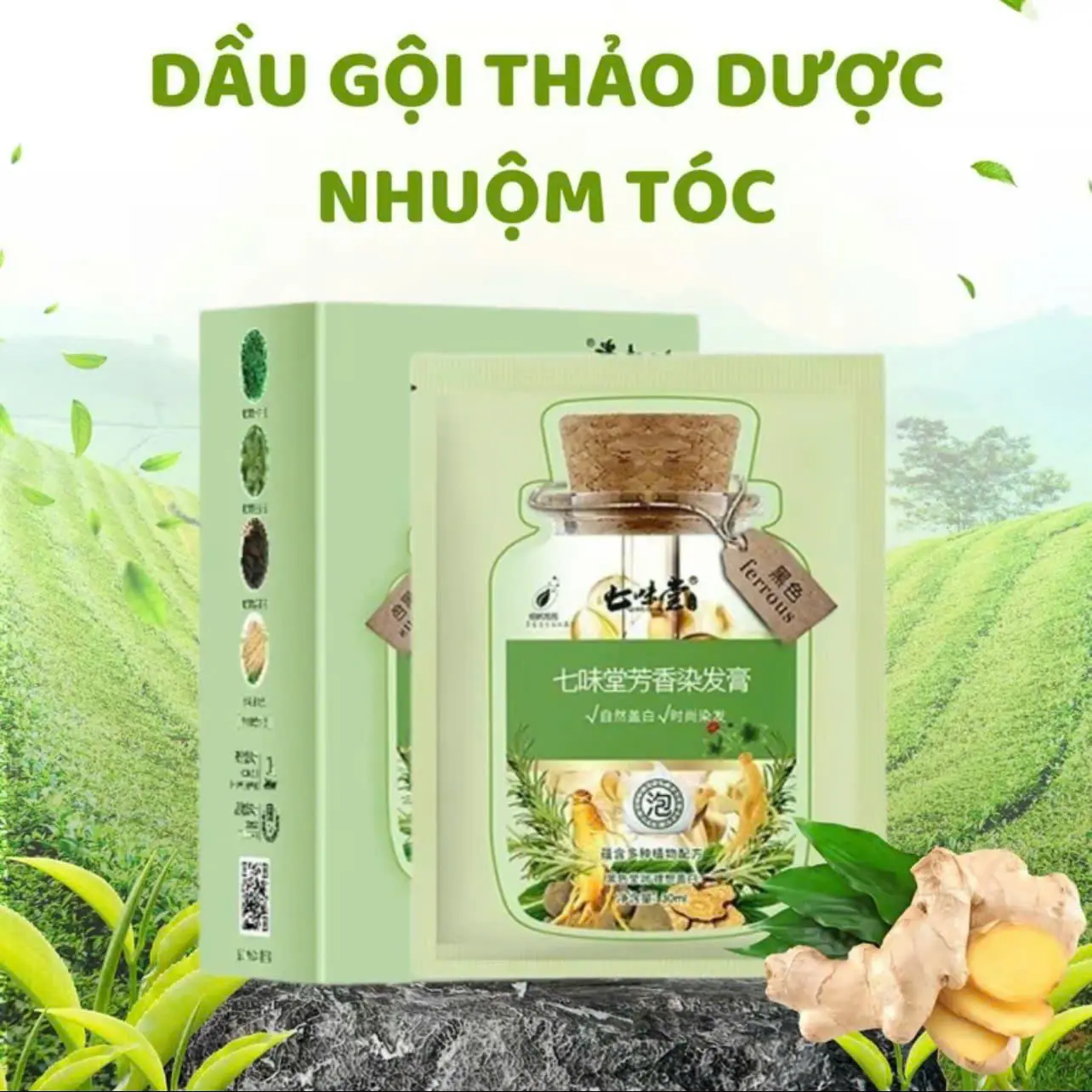 Combo 2 Hộp Dầu Gội Bạc Nhuộm Tóc Thảo Dược 2 Trong 1 - Nuôi Dưỡng Tóc Chắc Khỏe - Đổi Màu Tóc Nữ Women