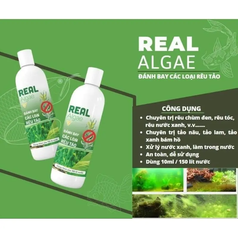 REAL ALGAE - Chuyên xử lý các loại rêu, tảo hại, nước xanh cho hồ cá cảnh 0