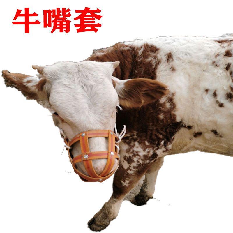 Muncung Muncung Lembu, Muncung Anti-Gigitan, Sesuai untuk Lembu dan Kuda ...