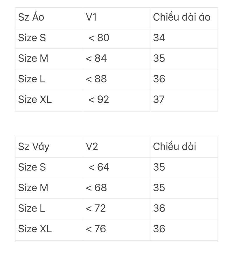 Product Introduction of [ HÀNG ĐẸP ] Chân váy xếp ly to màu xám 2 lớp xịn túi zip 0