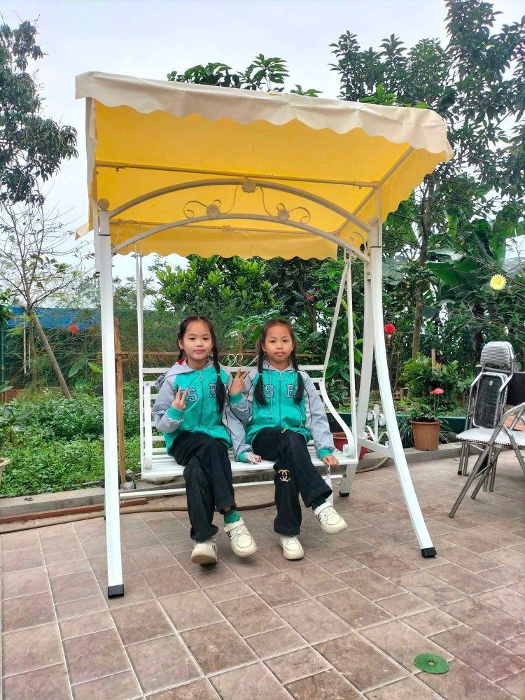 Product Introduction of Xích đu sân vườn có mái, thiết kế đẹp mắt 11