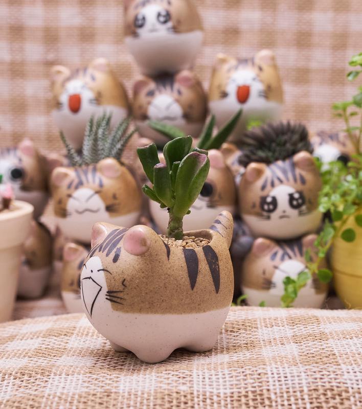 [Greenthegarden ] COMBO 5 Chậu mèo con mini - Chậu trồng cây sen đá xương rồng kiểng lá bonsai sen đá thụ gốm sứ