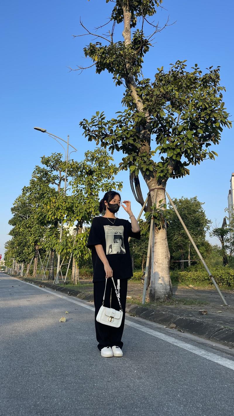 Product Introduction of Túi xách nữ kẹp nách, túi đeo chéo khoá xoay T vân rắn size 21cm Da Bag Đeo Vai Kem Nhung 17