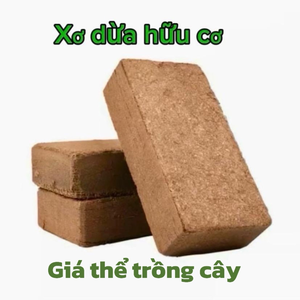 Xơ Dừa Hữu Cơ
