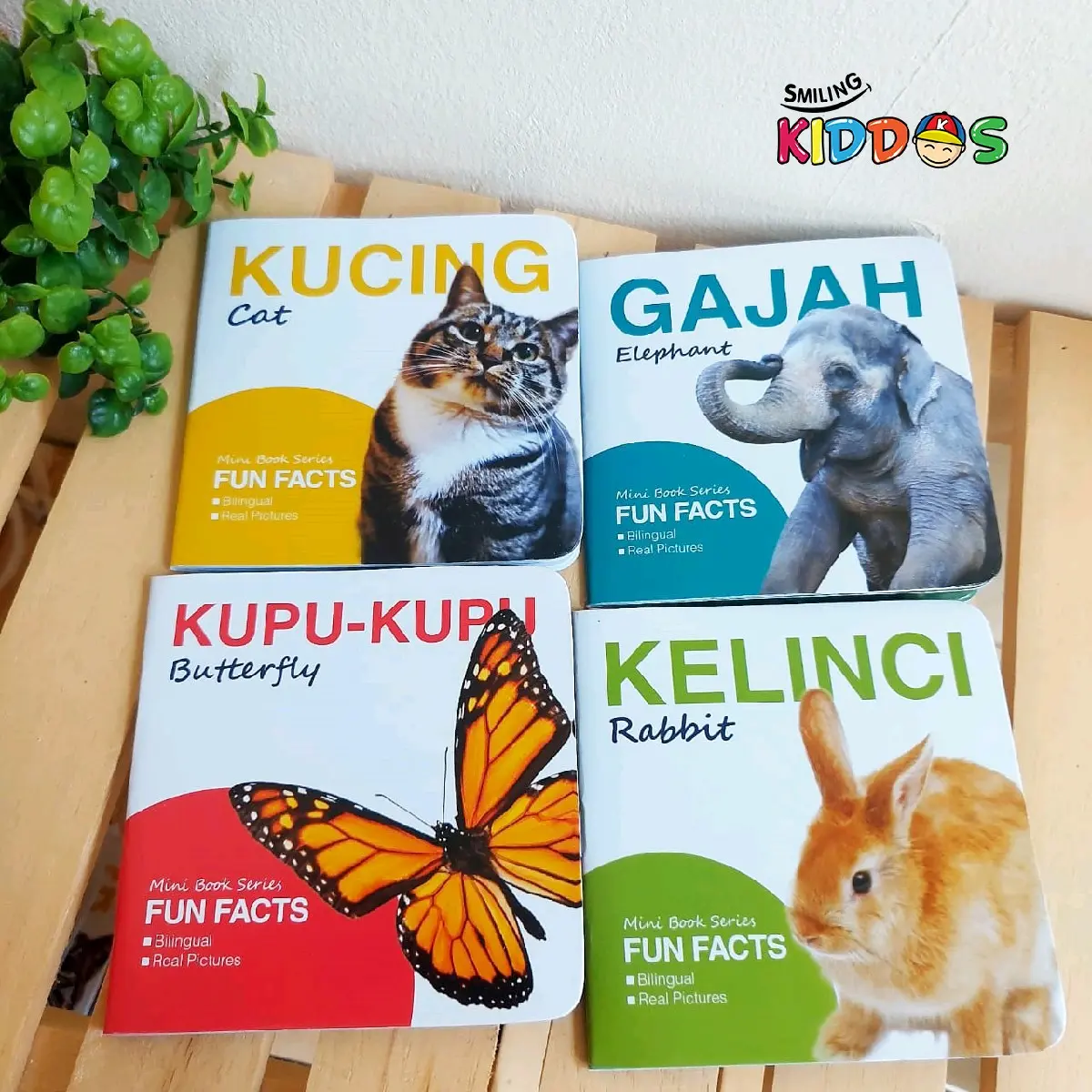 Mini Book Fun Fact - buku cerita fakta unik gajah kucing kelici kupu-kupu