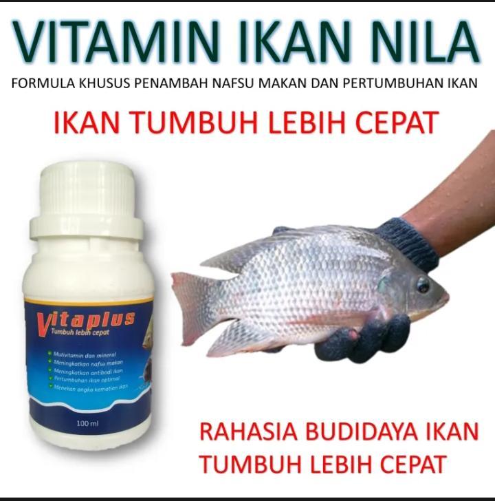 VITAPLUS multivitamin untuk ikan nila cepat besar Obat Ikan Vitamin Ikan Suplemen Ikan Lele Bawal Nila Patin Ikan Mas Ikan Gurame Mujair Semua Jenis Ikan Air Tawar Pemacu Pertumbuhan Ikan Penambah Nafsu Makan Ikan Cepat Besar Gemuk Dan Sehat 1