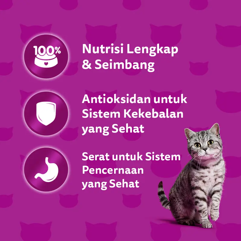 Whiskas Makanan Kucing Kering 1.2 kg - Isi 2 whiskas 3