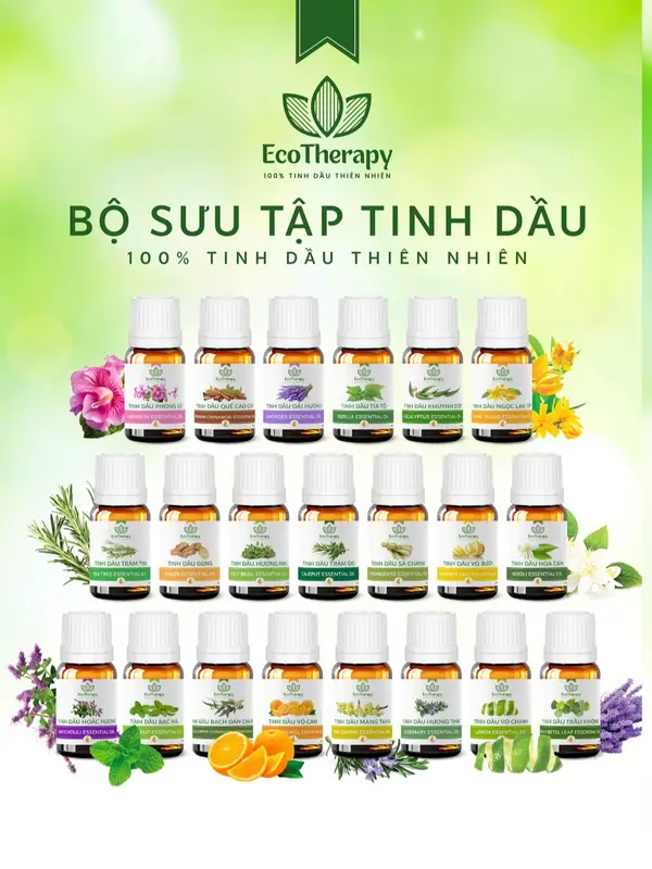 TINH DẦU ECOTHERAPY Thiên Nhiên [CHÍNH HÃNG] Thơm Mát giúp Thư giãn, Giải cảm, Bảo vệ sức khoẻ 1