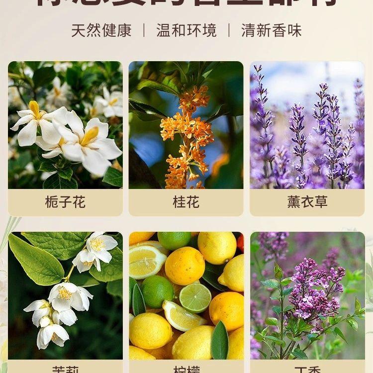 Gardenia Wardrobe Deodorizing Sachet Long-lasting Freshness Car Air Freshener Room Odor Removal Fragrance Moisture-proof Aromatherapy Sachet 2