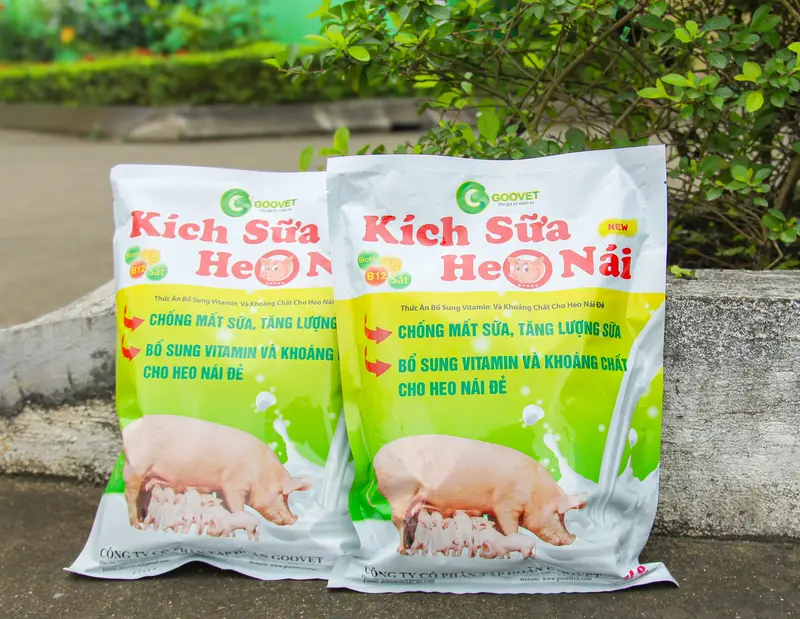 KÍCH SỮA HEO NÁI 1kg - C.h.ố.n.g mất sữa, tăng lượng sữa, bổ sung vitamin và khoáng chất cho heo nái đẻ. 3