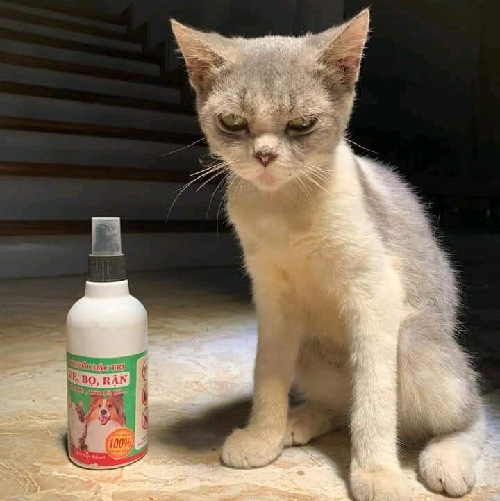 Xịt Đặc Trị Ve Bọ Rận Cho Chó Mèo Trâu Bò Môi Trường 300ml Tiêu Diệt Hiệu Quả An Toàn Sinh Học
