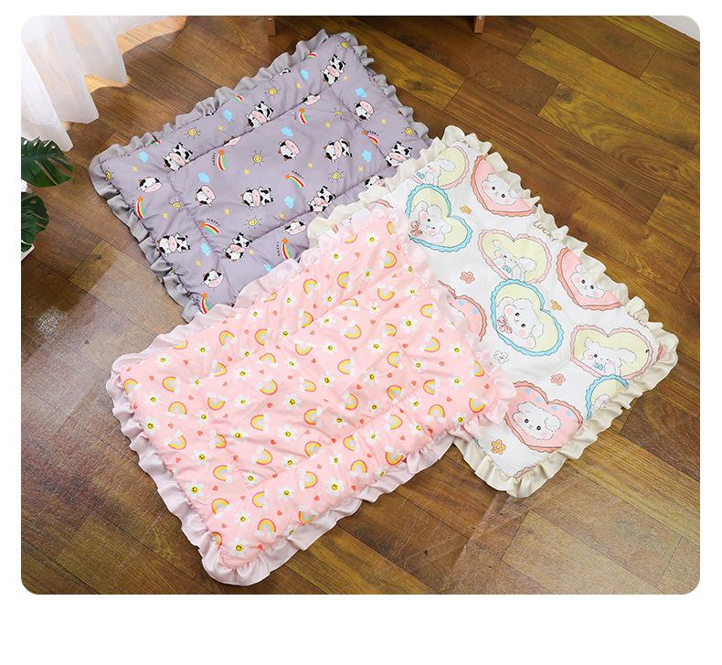 Product Introduction of Thickened Autumn and Winter Warm Floor Mat, Cat for Common Dogs Blanket Mat 30