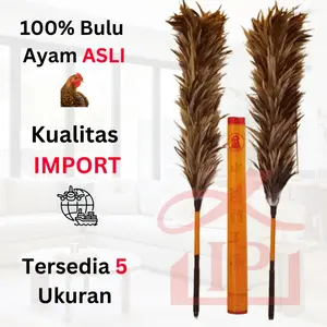 KEMOCENG BULU AYAM ASLI- KUALITAS IMPOR- BULU HALUS & AWET
