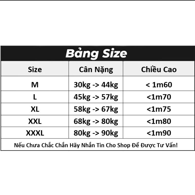 Bộ đồ thể thao nam chất liệu thun lạnh co giãn 4 chiều thấm hút mồ hôi họa tiết núi tuyết - Sport 5