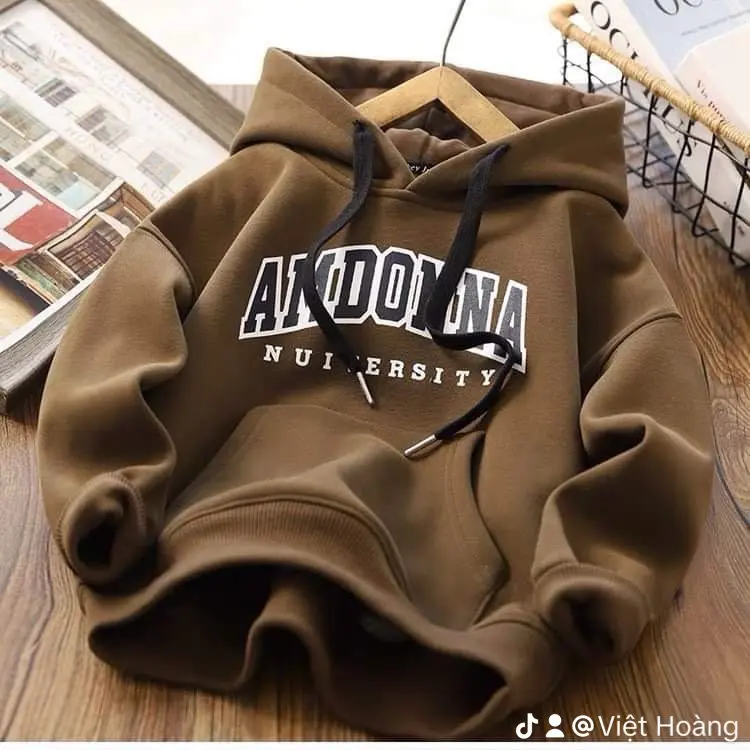 Áo Hoodie Cho Bé Trai Cá Tính Dễ Thương cho các bé Mùa Thu Đông size từ 9 - 45 kg Chất Liệu nỉ Áo Liền Mũ AMDONNAN