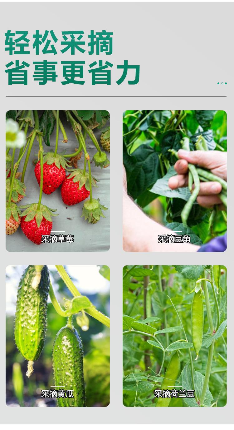 Product Introduction of Garden Thumb Knife, Finger Pick Ring Knife, Garden Cutter For Fruits, Vegetables, Flowers, Fruit Finger Picker, Handy Garden Tool 1
