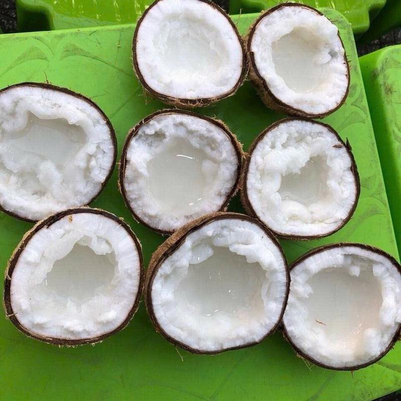 [Loại2 size Lớn ] Dừa Sáp Trà Vinh- Thực Phẩm Khô- Thức Ăn Food 4