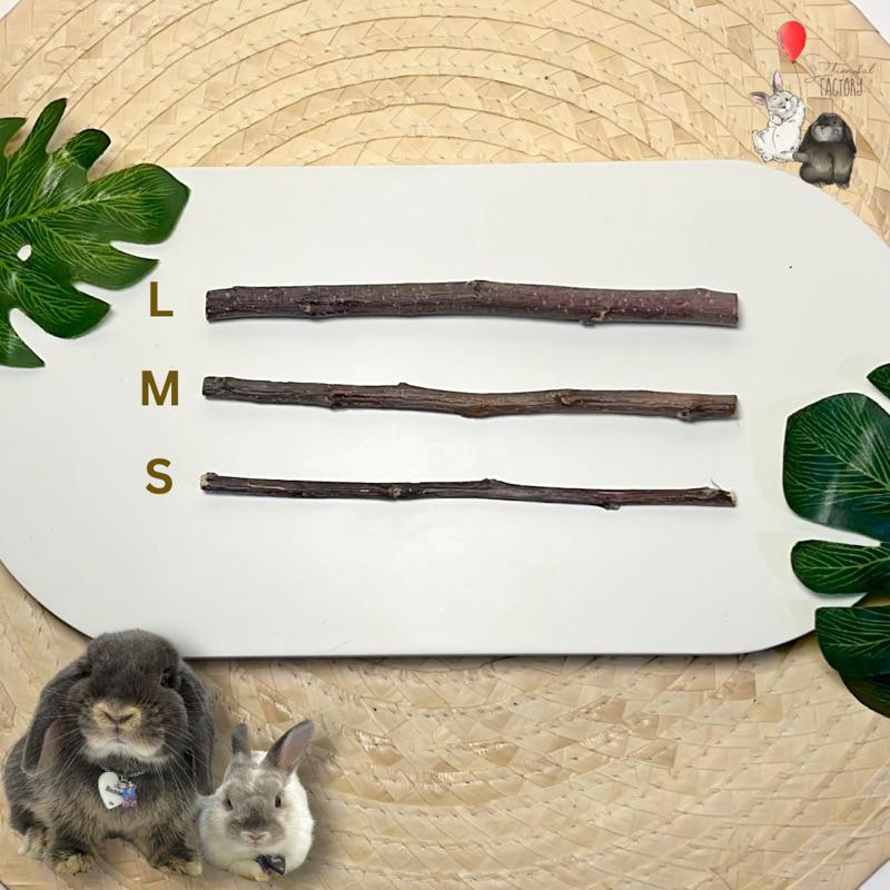 Natural Orchard Apple Chew Stick - Pengasah Natural Gigi Kelinci Hamster Marmut Guinea Pig Chincilla 2