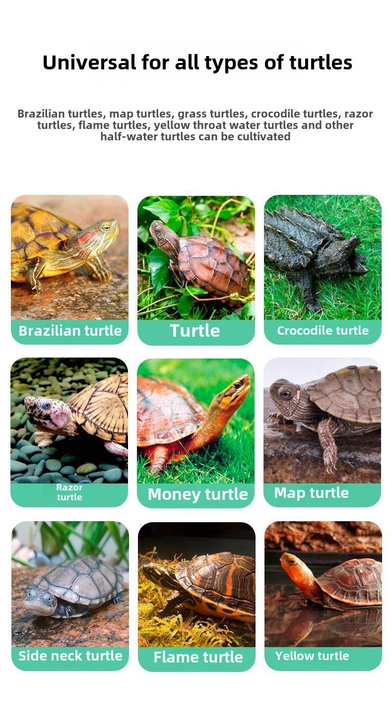 Product Introduction of Turtle Special Cylinder Extra Large Tortoise Feeding Household Water and Land Brazilian Turtle Cylinder Villa Landscape Change Water Ecological Feeding Box 3