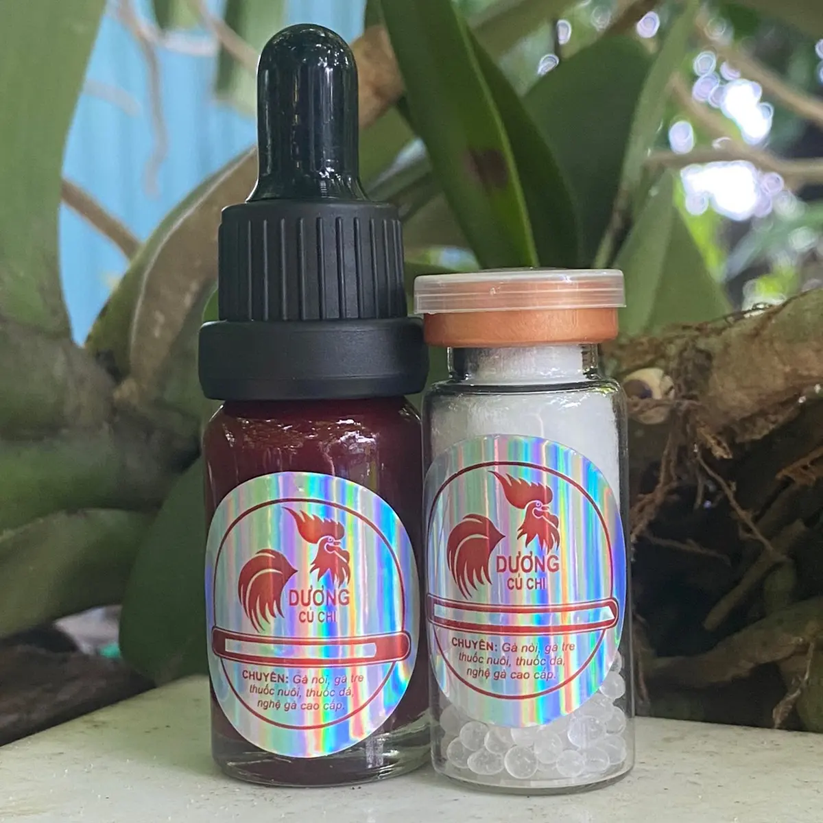 Viên uống bò cạp Mỹ và dinh dưỡng nuôi nhỏ vào miệng