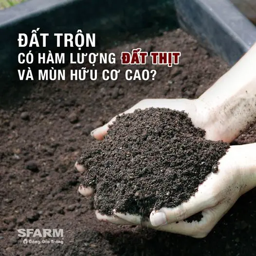 (Bịch chiết 2Kg) Đất Sạch Trồng Cây Đa Dụng Sfarm, Đất Trồng Rau – Củ - Quả, Cây Ăn Trái, Hoa Kiểng 0