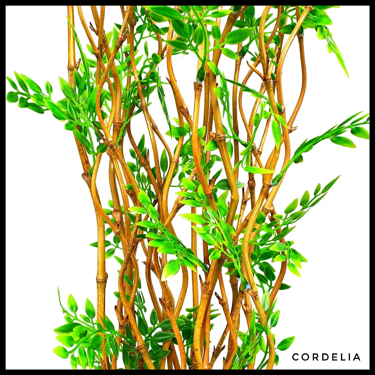 10 Batang Bambu Ulir Natural Daun Cordelia (Tidak Termasuk Vas/Pot)