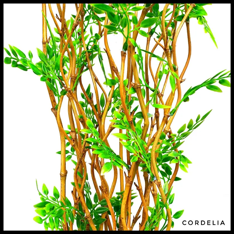10 Batang Bambu Ulir Natural Daun Cordelia (Tidak Termasuk Vas/Pot) 0