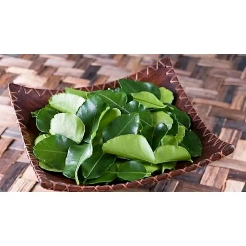CÀNH LÁ BƯỞI CÓ GAI TƯƠI/ KHÔ DÙNG ĐỂ XÔNG TẮM XẢ XUI - Tẩy UẾ 4