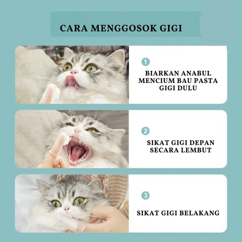 4in1 Set Sikat Gigi dan Odol Anjing Kucing Dog Tooth Brush and Paste Membantu Membersihkan Kotoran dan Plak Gigi Hewan Peliharaan FEFARM 4