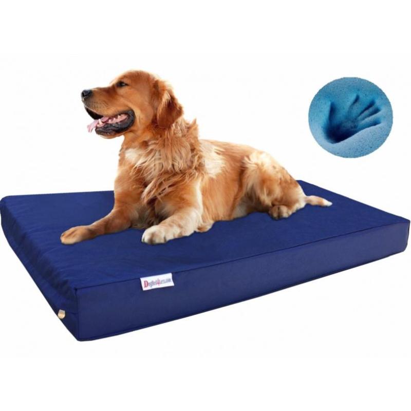 Dog bed resist chewing best sale