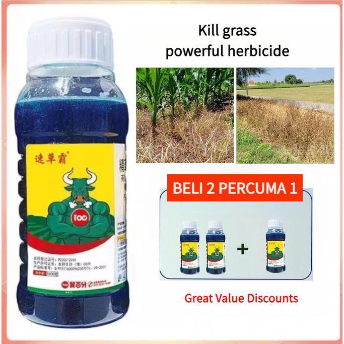 [BELI 2 PERCUMA 1] Kill Grass Powerful herbicide 100g, Glufosinate ...