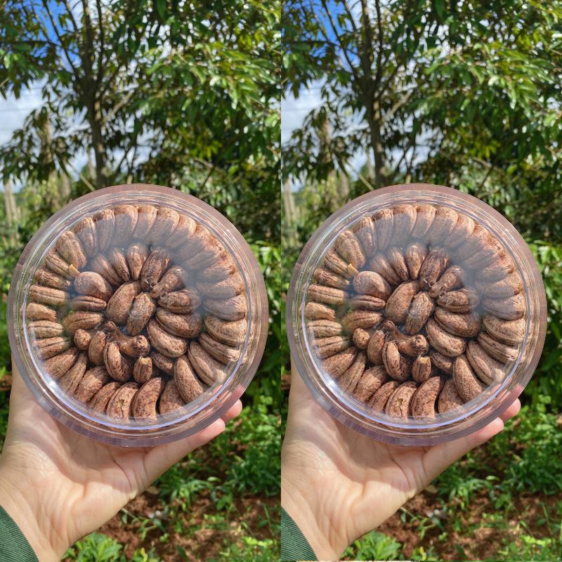  2 Hộp Hạt Điều Rang Muối 500 Gram Snack Nuts Ăn Vặt Food - 1kg tính cả bao bì đóng gói 