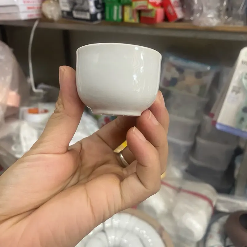 Combo 20 chén chè (ly trà ) trắng siêu đẹp 2