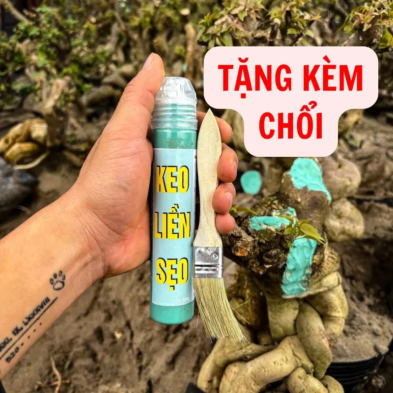 Keo Liền Sẹo Cao Cấp, Liền Sẹo Nhanh, Chống Nấm Bệnh Cho Cây Trồng, Cây Cảnh, Mai Vàng, Bonsai, Lan 0