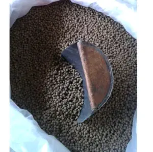 Pelet pakan ikan apung air tawar lele gabus patin koi mas ukuran 3mm kemasan 1kg