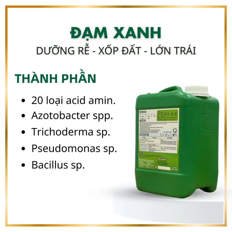 Combo phục hồi vườn - 1 Phân bón Đạm Xanh 5 lít - 2 Phát rễ Amino - PH Việt Nam - Bung chồi - đi đọt - dưỡng rễ (Giá bán đã bao gồm 5% VAT) 2