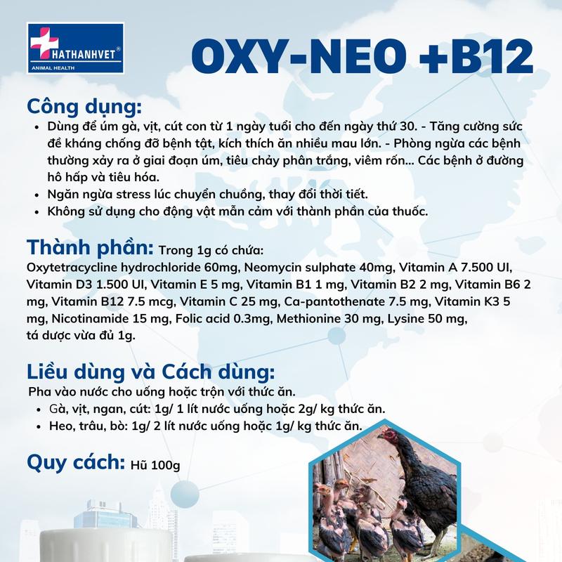 OXY-NEO +B12 | Hũ 100g | Thuốc úm gà, vịt, cút con từ 1 ngày tuổi cho đến ngày thứ 30. 1