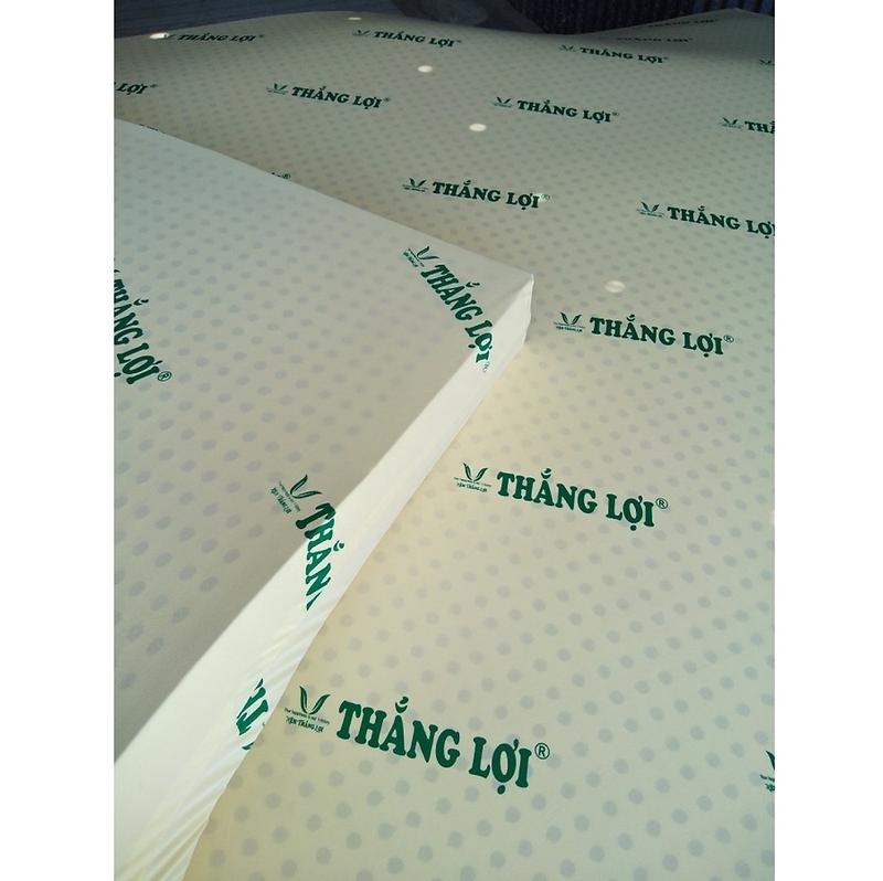 Nẹm cao su non thắng lợi 1m2 x 2m x 10cm  QUÀ 7 MÓN  giá tại công ty nemgiare đơn đủ màu 4