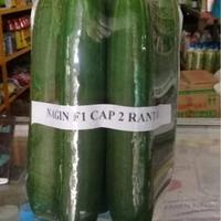 Gambar Timun Nagin F1 Timun Hijau Hibrida 80 Seed Tidak Pahit Ori Pabrik Benih dari Kandang Tentrem Lestari Kab. Pati 3 Tokopedia